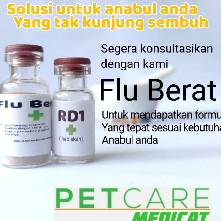SFFJ7147 Terlaku...  Obat kucing Flu berat Ampuh obat Flu berat kucing ampuh flucat ampuh Obat batuk
