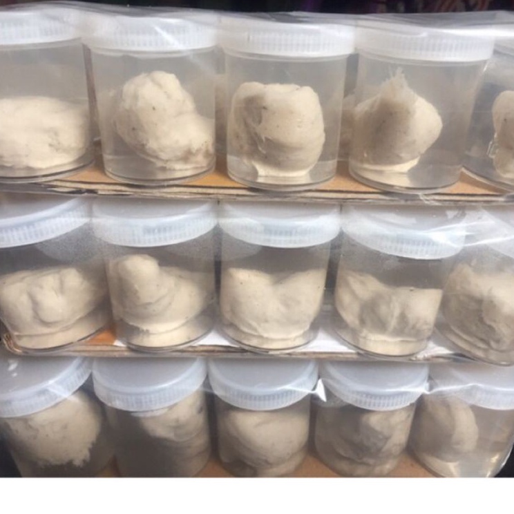 Seller PULUT BURUNG LEM JEBAKAN BURUNG SUPER LENGKET