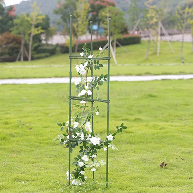 Terlaris Penyangga Tanaman / Rambatan Tanaman Anggur