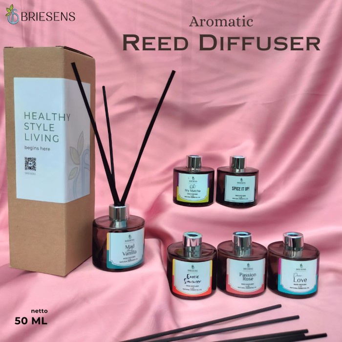 Oktav Briesens Reed Diffuser Aromatic Diffuser Diffuser Humidifier