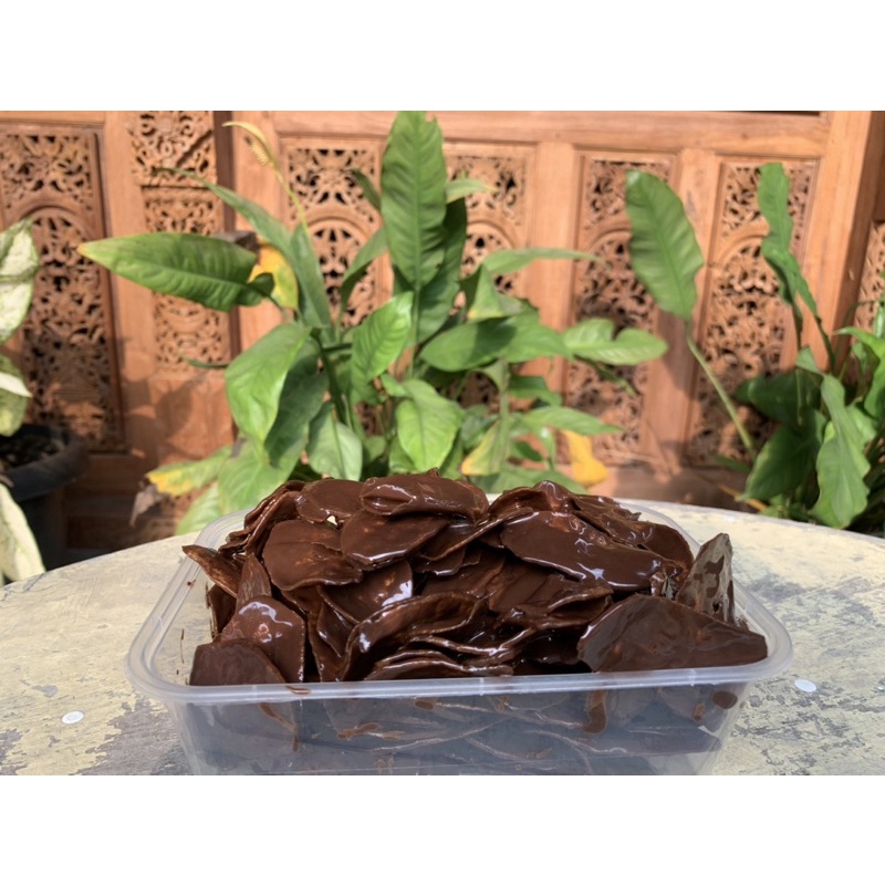 

PROMO 3 BOX KERIPIK PISANG COKLAT LUMER 60RIBU