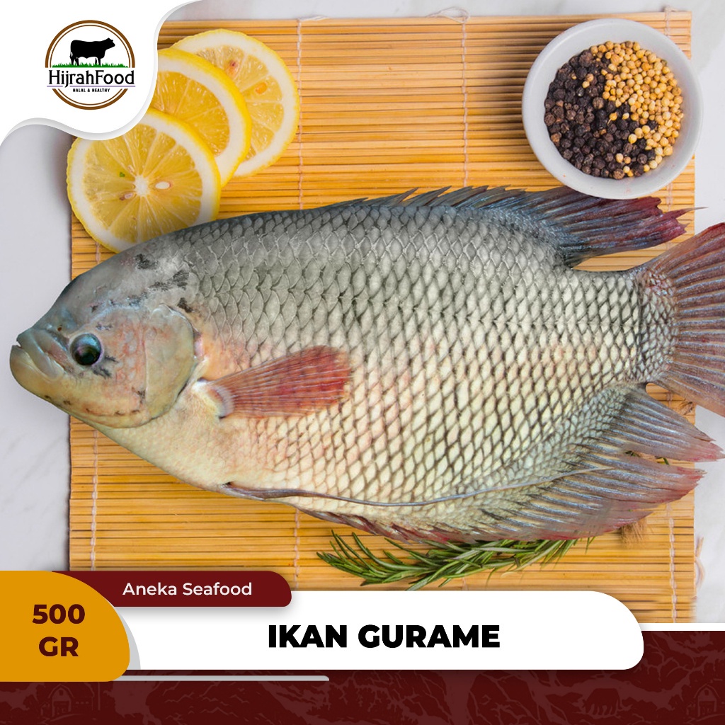 

Hijrahfood Ikan Gurame | Gourami Fish Frozen