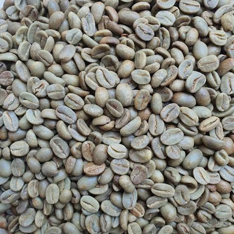 

Gaya Kopi Flores Bajawa Greenbean Sale!!!