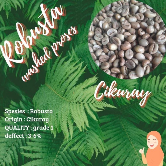 

Gaya Green Bean / Biji Kopi Robusta Cikuray 1Kg Murah