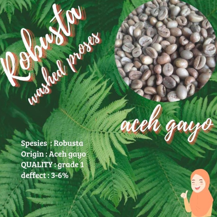 

Jual Green Bean /Biji Kopi Robusta Aceh Gayo 1Kg Hot Sale