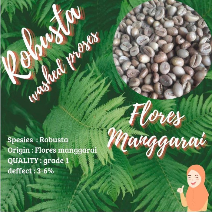 

Sale Green Bean/Biji Kopi Robusta Flores Manggarai 1Kg Murah