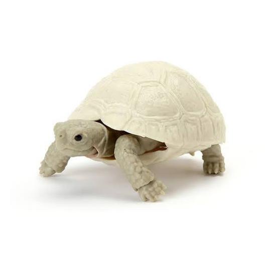 Gashapon Kame 05 Adult Leucistic Leopard Turtle - Gacha Kura Bandai