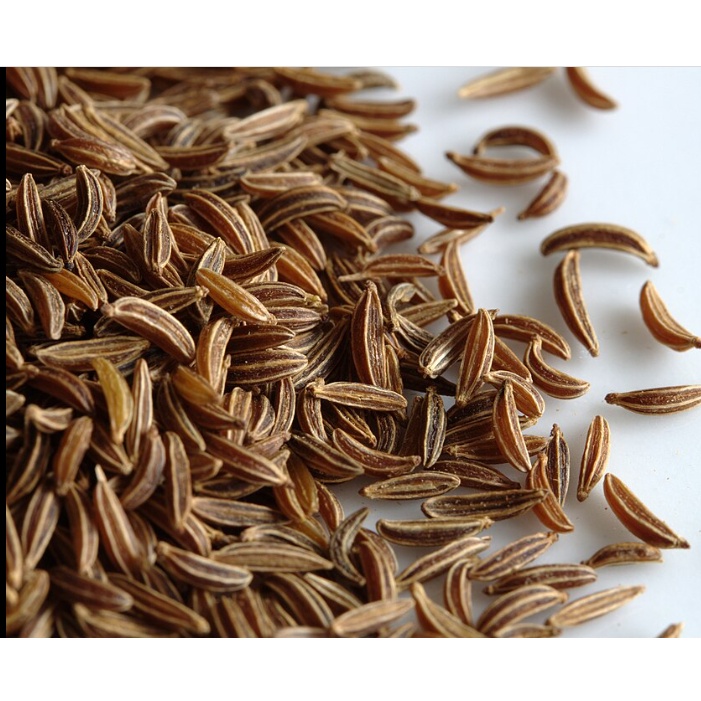 

jintan masak asli jinten putih caraway seeds