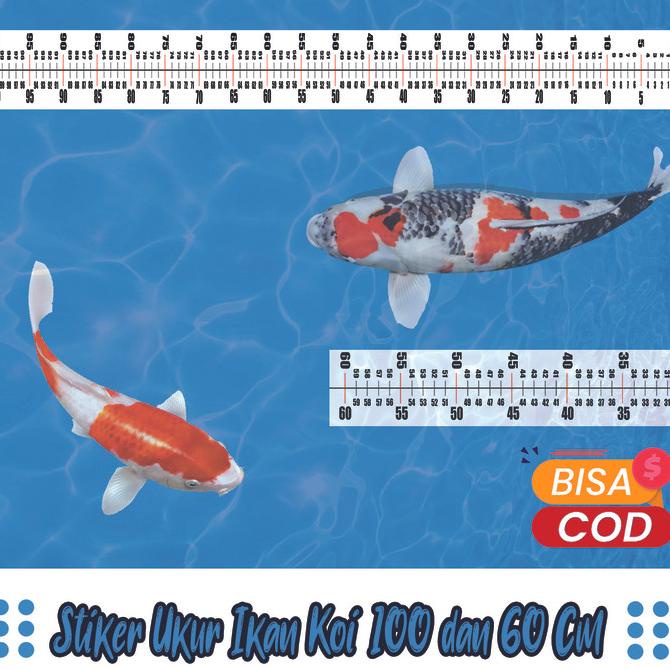 

Promo Stiker Ukur Koi