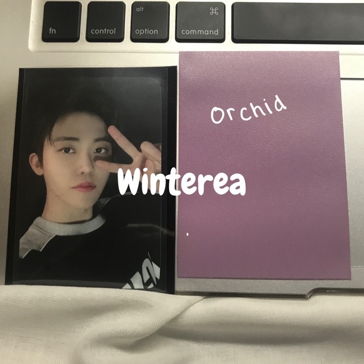 Terupdate inner sleeve dragon shield [10 pcs] black / red / clear blue / blue / pearl / ivory Serba 