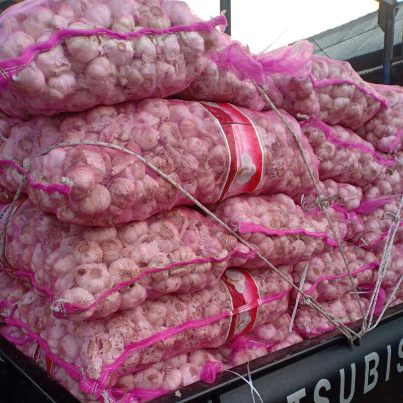 

bawang putih 1 kg