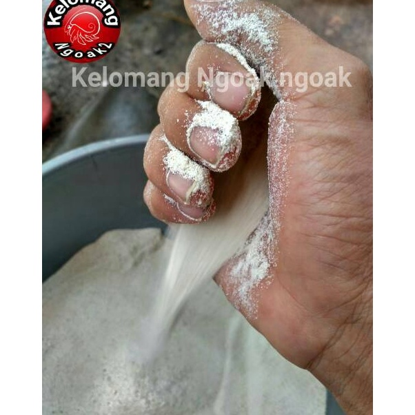 Harga Murah Pasir Laut Putih Halus