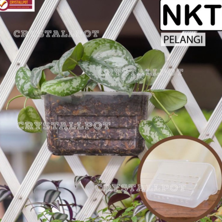 ➭➱✥❄ pot bunga tanaman plastik tempel pelangi bening transparan 22cm - nkt pelangi Laris