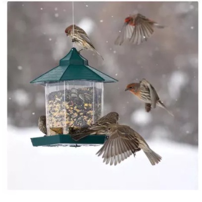 Terlaris Tempat Makan Minum Burung Liar
