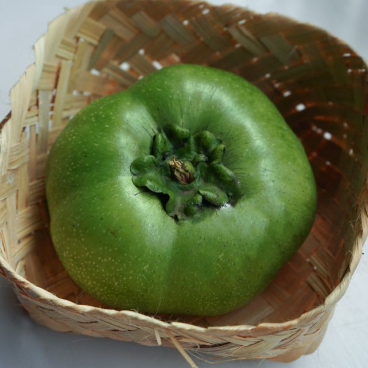 

Best Produk Buah giant black sapote Terkini