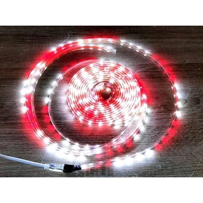 MURAH Led Strip Led Selang Merah Putih Outdoor SMD  Led Hias Agustusan RGB / MERAH PUTIH