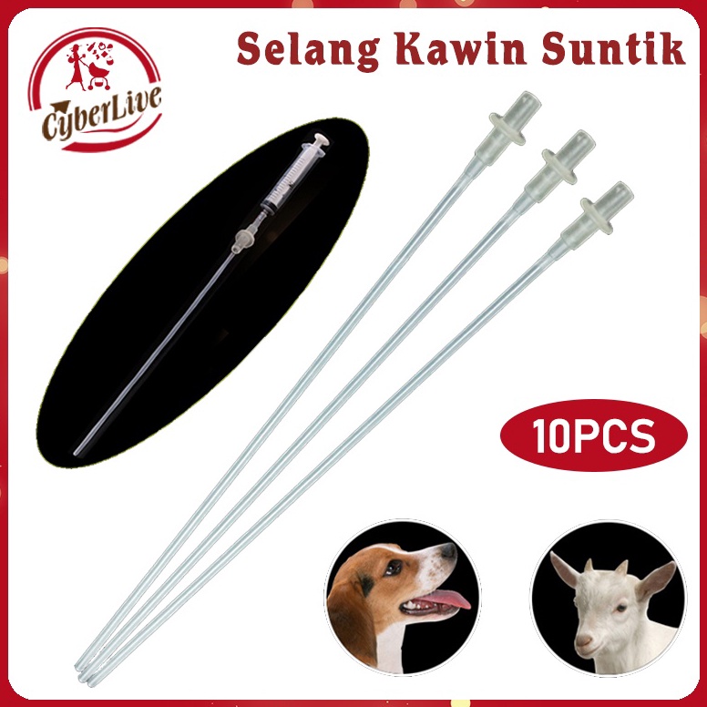 Big Sale 10pcs Alat Inseminasi Buatan Hewan  Anjing Kucing Sapi Dll Selang Kawin Suntik