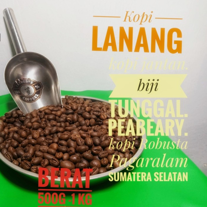 

Gaya Kopi Lanang, Peabeary, Biji Tunggal Fine Robusta Pagaralam 1Kg Hot Sale