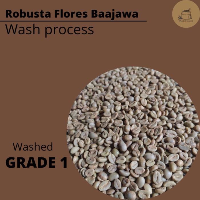 

Buruan Green Bean Robusta Flores Baajawa Grade 1 Bagus