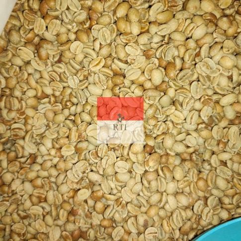 

Trendi Biji Kopi Mentah Arabika Gayo Natural Proses - Green Bean Trendi