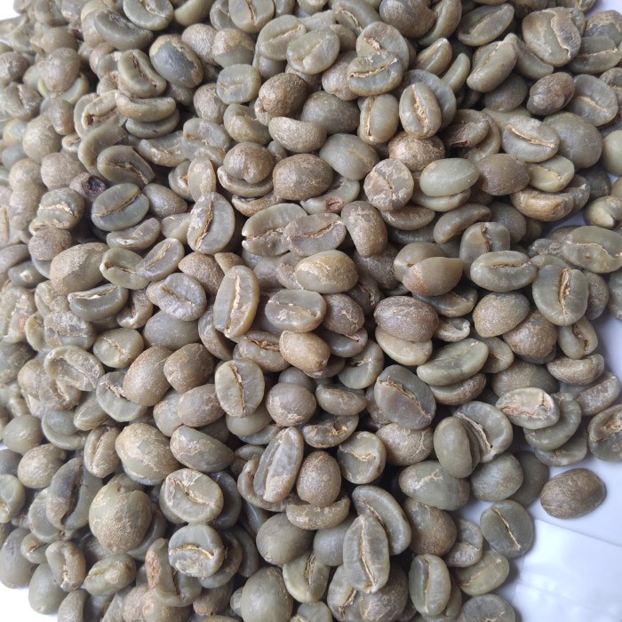 

Nikmati Biji Kopi/Greenbean Arabika Toraja Sapan Fullwash 1Kg Trendi