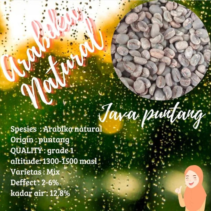 

Hemat Greenbean/Biji Kopi Arabica Natural Java Puntang 1 Kg Bergaransi