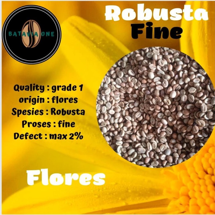 

Mudah Biji Kopi/Greenbean Robusta Fine Flores 500 Gram Gilaa!!!