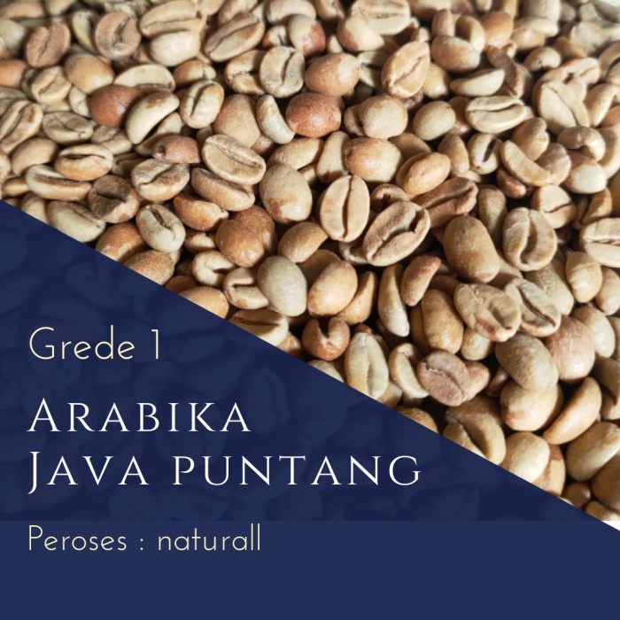 

Eklusif Arabika Green Bean Java Puntang Peroses Natural Grede 1 Promo