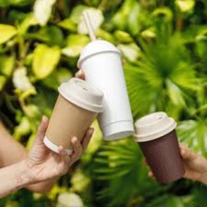 Terlaris Ecofrenbag Bagasse Coffee Cup Lid 8Oz, 12Oz, 16Oz Ampas Tebu