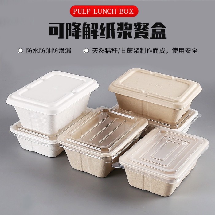 Terlaris Bagasse Lunch Box Wide / Bagasse Salad Box / Bagasse Box 500 750 Ml