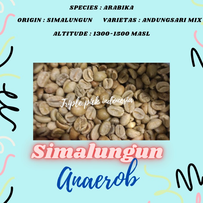 

Eklusif Green Bean / Biji Kopi Arabika Simalungun - Anaerob Bergaransi