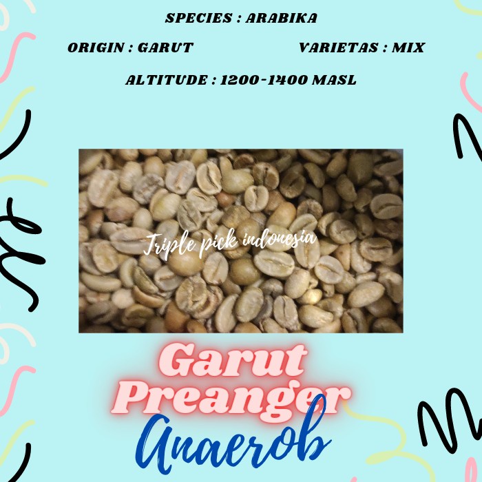 

Diskon Green Bean / Biji Kopi Arabika Garut Preanger - Anaerob Bergaransi