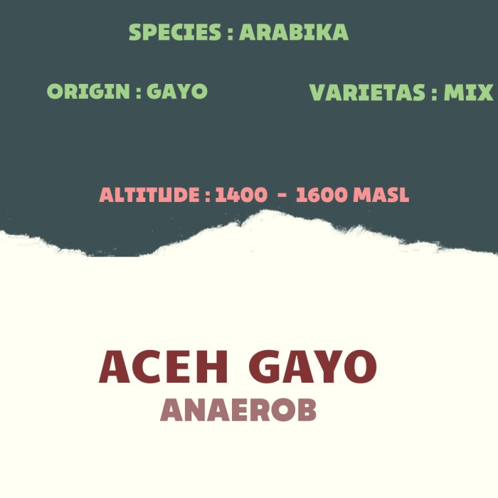 

Sale!!! Green Bean / Biji Kopi Arabika Aceh Gayo - Anaerob Murah