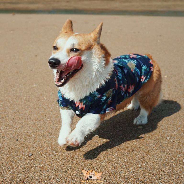 Baju Kucing Anjing Motif Hawaii