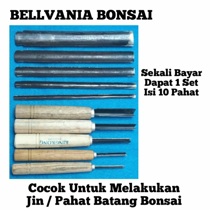 

Pahat Ukir 1 Set Isi 10 Cocok Untuk Jin Bonsai Dan Kerajinan Tangan