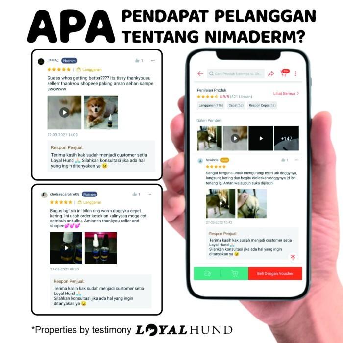 PROMO  OBAT KULIT ANJING JAMUR, SCABIES, DEMODEX, GATAL, INFEKSI