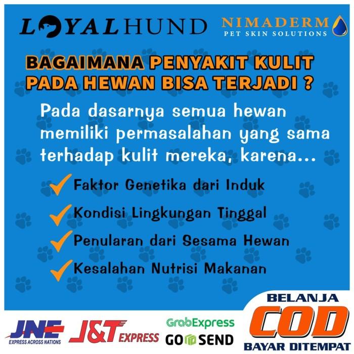 GARANSI OBAT JAMUR KUCING ANJING GATAL - GATAL SCABIES RINGWORM