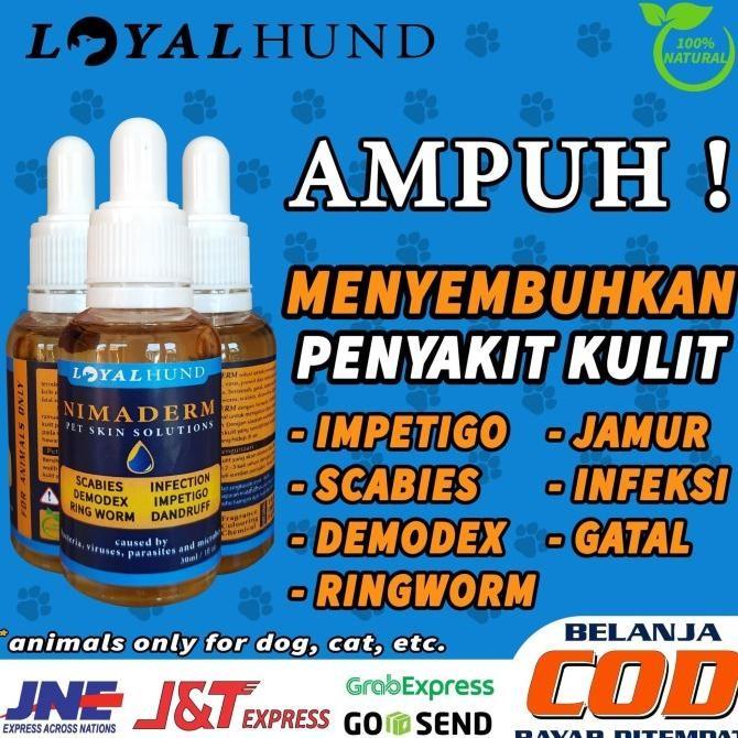OBAT KUCING / OBAT KULIT ANJING GATAL LUKA, SCABIES, JAMUR, DEMODEX,