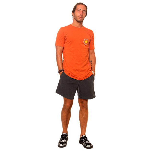 Quiksilver Mens Outer Zone Cinnamon Short Sleeve T-Shirt