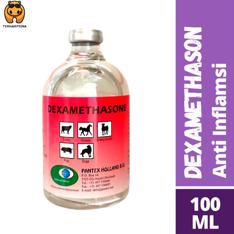 SPECIAL PRICE Dexametason injeksi 100ml - Obat Anti Inflamasi - dexa 100ml