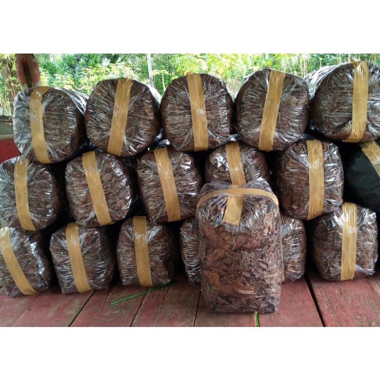 LANGSUNG KIRIM DAUN KETAPANG LAUT SUPER OLAHAN 5KG GARANSI