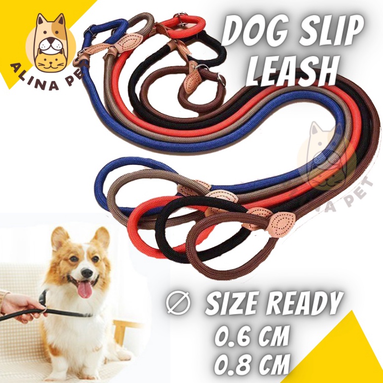 BIG SALE Dog Slip Leash PREMIUM Tali Tuntun Anjing Cesar Milan Dog Pet Leash Dog Leash Pet Dog Leash