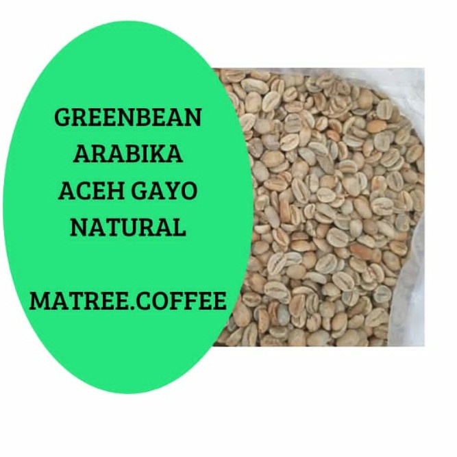 

Murah Green Bean Biji Kopi Arabika Arabica Gayo Bener Meriah Natural Prosess Terbatas