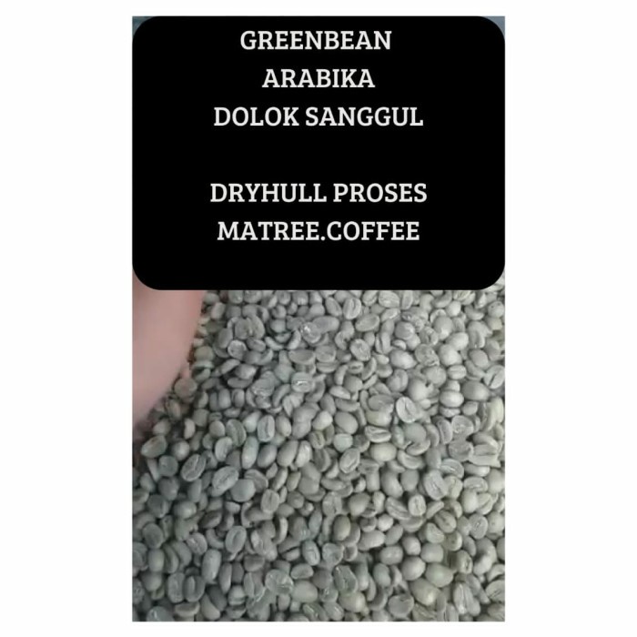 

Jual Green Bean Biji Kopi Arabika Arabica Dolok Sanggul G1 Dryhull Proses Promo