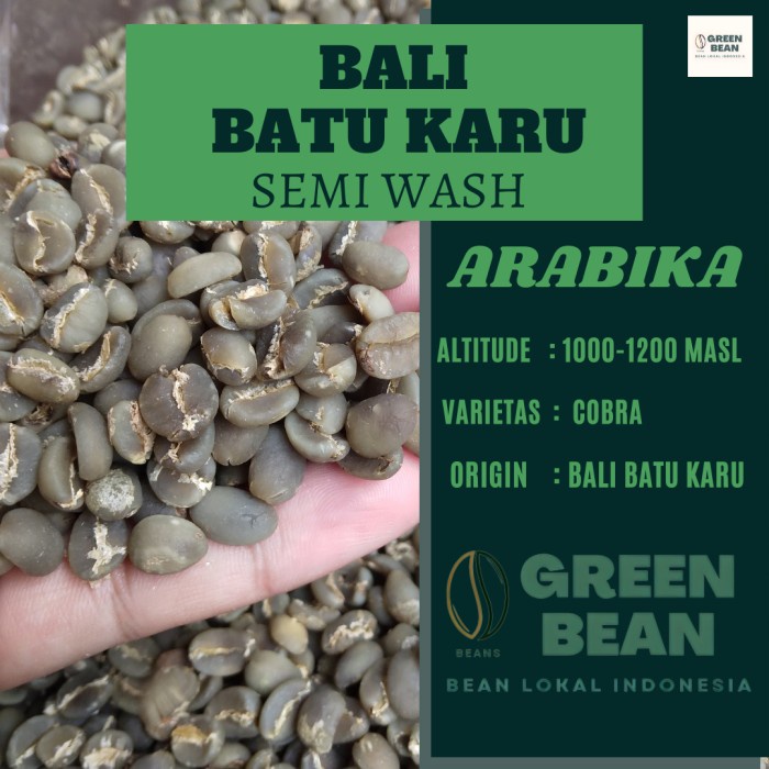 

Gaya Green Bean / Biji Kopi Arabika Bali Batu Karu - Semi Wash Bergaransi