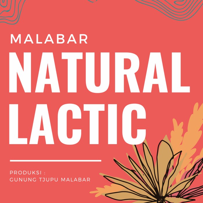 

Murah Roast Bean Arabika Malabar Natural Lactic 100 Gr | Biji Kopi Murah
