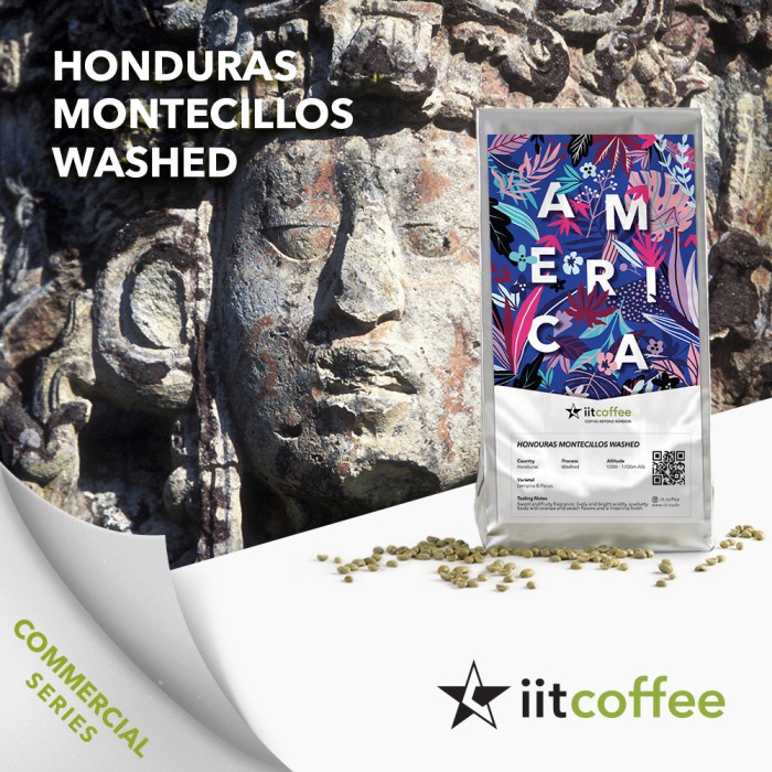 

Sale!!! Arabica Green Beans - Honduras Montecillos Washed Promo