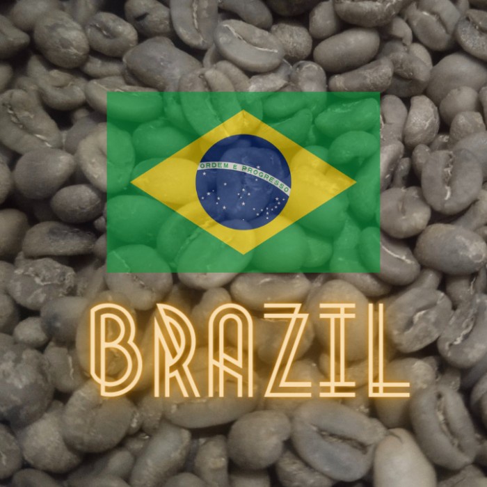 

Bagus Greenbean/Biji Kopi Mentah Arabika Brazil Washed Import - 500Gram Diskon