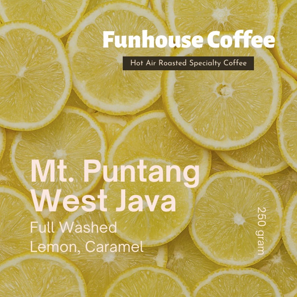 

Hot Sale Arabica Puntang Full Wash - Grade 1 - Filter Manual Brew Biji Kopi Gilaa!!!