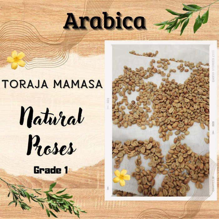 

Sale Green Bean/Biji Kopi Arabika Toraja Mamasa/Natural Proses/Grade 1 Bagus